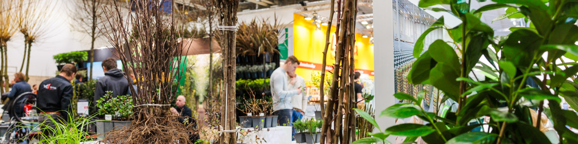 IPM ESSEN: 
		Header_Gehölze Arena
